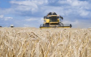 seguro agrícola colheita