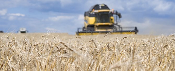 seguro agrícola colheita