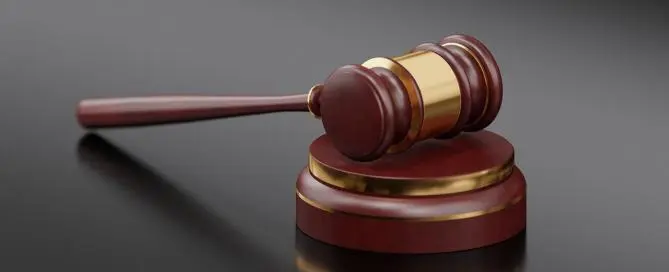 Seguro garantia para leiloeiro