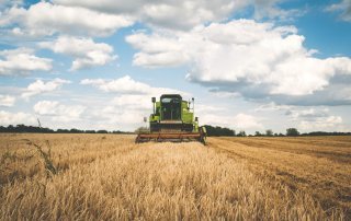 Perdas de produção causadas pela estiagem podem ser cobertas pelo seguro rural agrícola